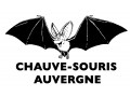 Détails : Chauve-Souris Auvergne