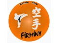 Détails : Karate Club de Firminy