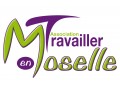 Détails : Association Travailler en Moselle, mise à disposition de personnel