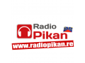 Détails : Radio Pikan